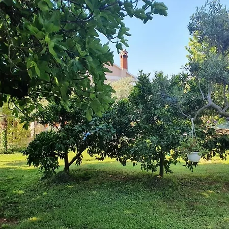 App Luka 1 - Garden For Children And Pets 3* Poreč