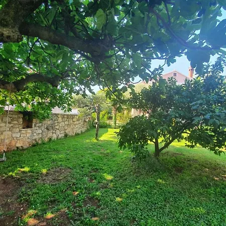 App Luka 1 - Garden For Children And Pets 3* Poreč