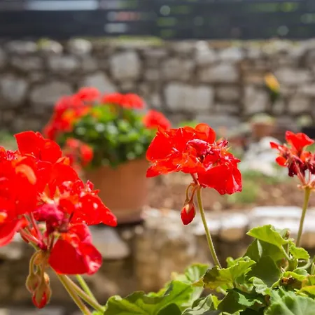 Gæstehus App Luka 1 - Garden For Children And Pets Poreč